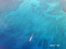 Wake. This photo was taken leaving Honolulu Hawaii. by Mathew Cook 